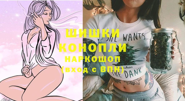 твердый Дмитров