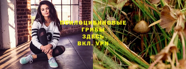 гидропоника Дмитриев