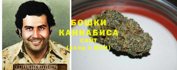 гидропоника Дмитриев