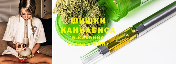 твердый Дмитров